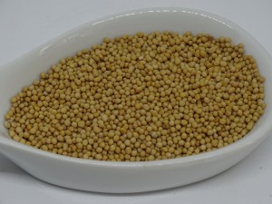 Senf gelb bio